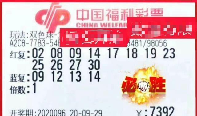 澳门生肖彩资料大全，揭秘幸运密码，掌握中奖秘诀澳门生肖彩总站