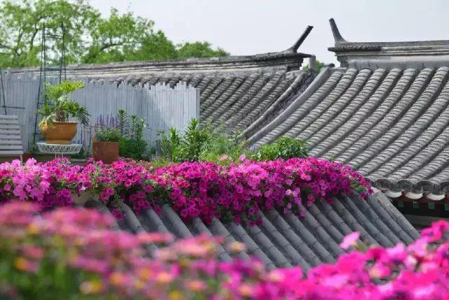在花园里的温馨时光—我们的日常小确幸我们在花园做了哪些事情