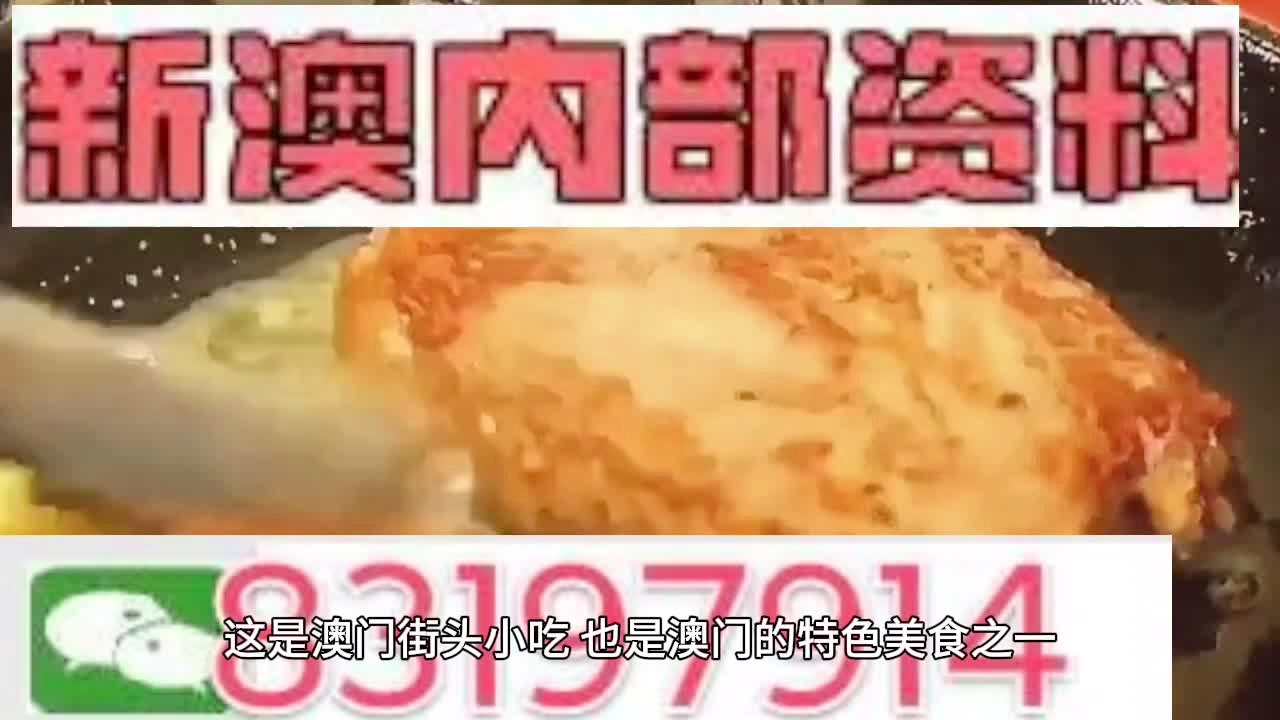 精准洞察新澳，内部资料大全深度解析澳门内部精选资料大全995