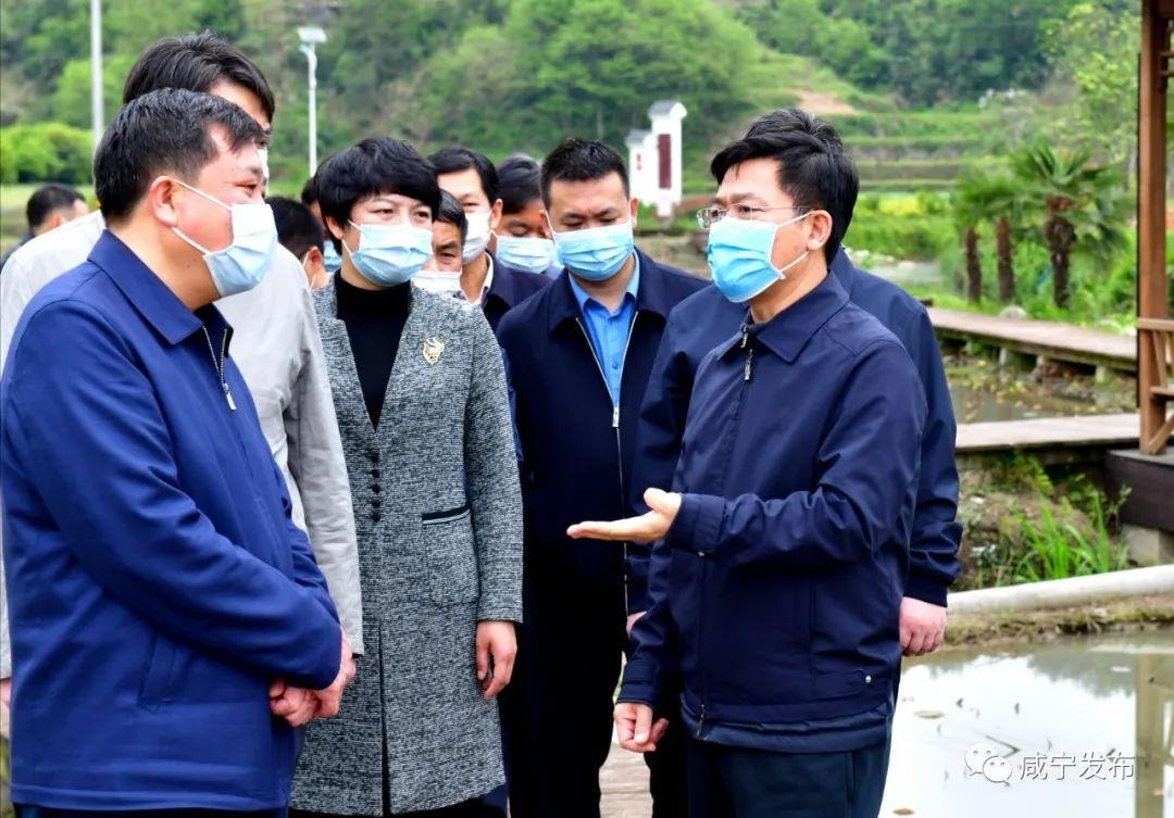 探索通山县政务网，数字化服务的新窗口通山县政务网官网人才引进公告