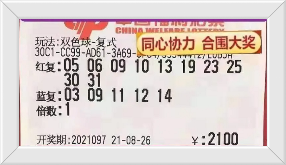 管家婆心水主论坛，深度解析与理性探讨管家婆心水论高手论坛