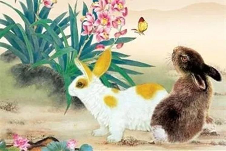 春满人间，生肖兔的温柔与希望春满人间是什么生肖动物