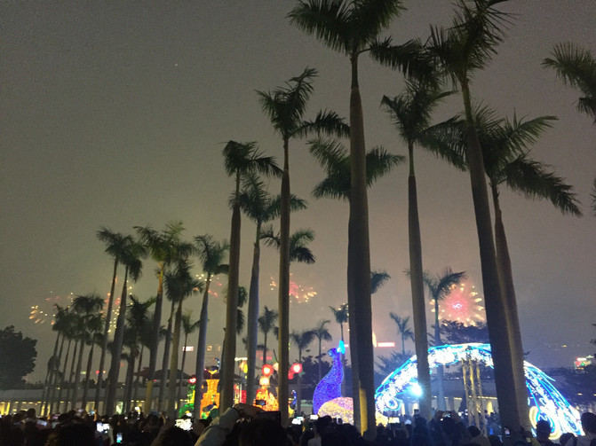 澳门资讯新探，全面解析2019年最新版澳门口岸及旅游指南更新内容2025年正版资料免费大全