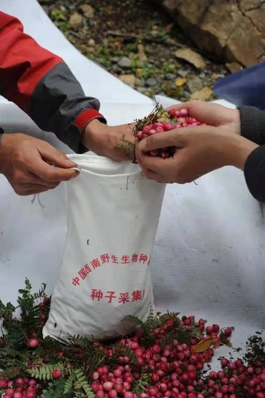 香港六和集团—百年传承与现代创新的融合香港今晚六给彩开奖结果今天晚上