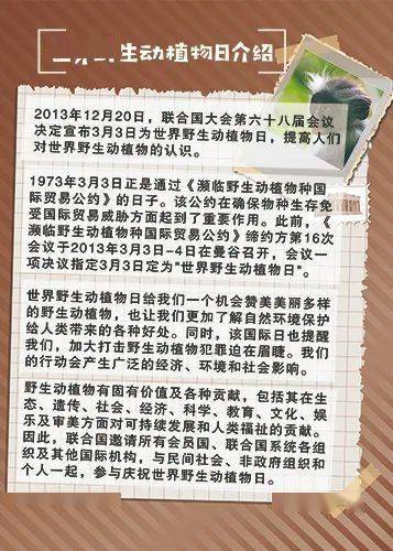 肖彩经，揭秘生肖与彩票的神秘联系一肖彩经书正版2023年新版