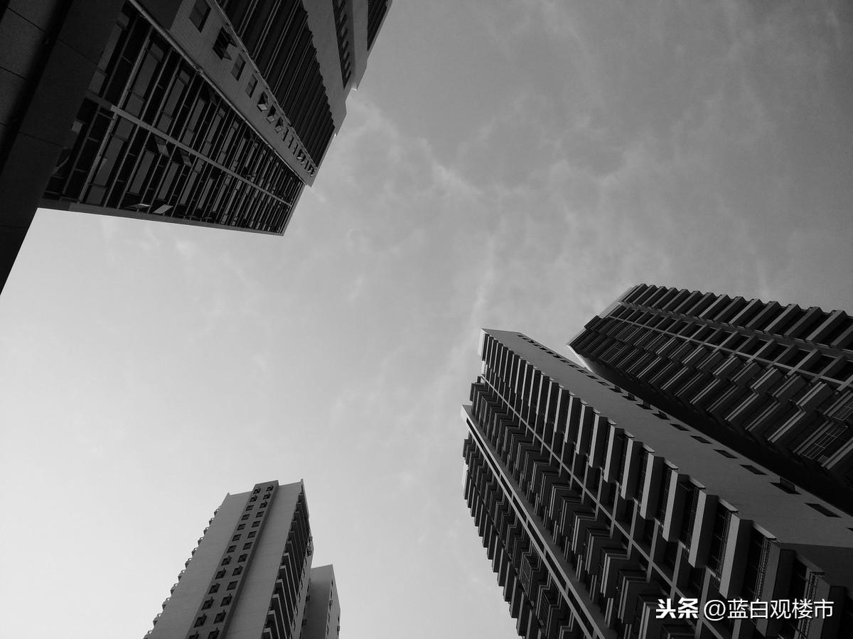 探索数字时代的自由发声，任我发论坛的魅力与影响任我发论坛免费资料大全