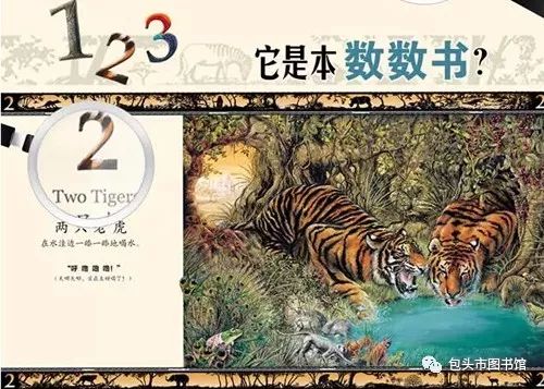 探索数字世界的奇妙，4957、四不像与081的神秘交织49579四不像论坛49579金多宝