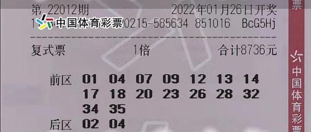 揭秘白小姐六肖中特期，精准选一背后的奥秘白小姐六肖中特期期准选一重温旧梦