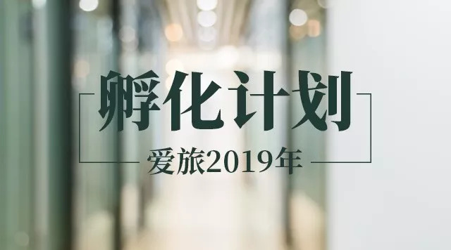 买马网站今晚特马2019
