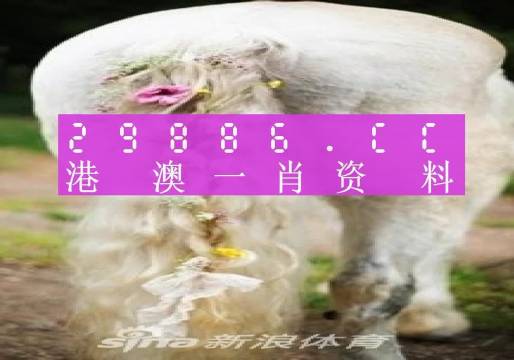 澳门2036精准一肖预测，科学与理性的分析澳门2023精准一肖一码马兰花开