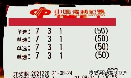 2036年澳门必中一肖，理性看待彩票与娱乐的边界线（虚构）一场关于预测和现实的对话2023年澳门必中一肖一码80期