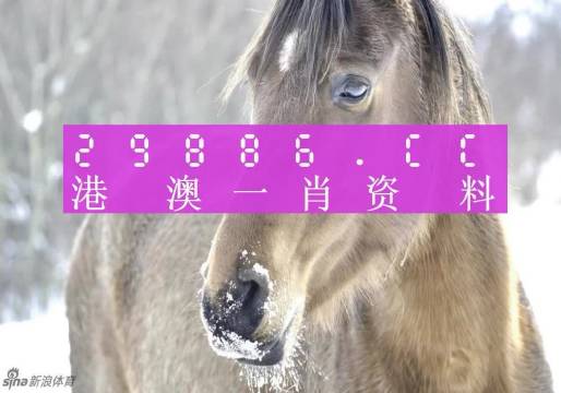 澳门精准一肖，揭秘背后的真相与警示澳门精准一肖一码100%精准澳门双单数