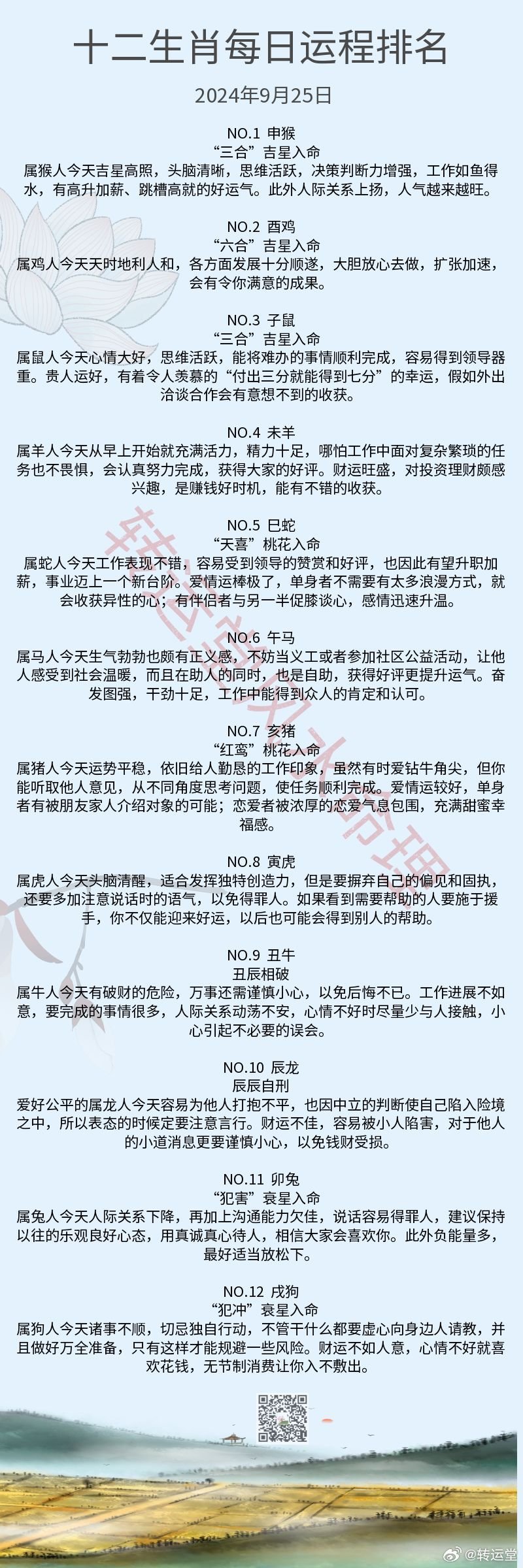 管家婆心水主论坛，深度解析与理性探讨管家婆心水论高手论坛