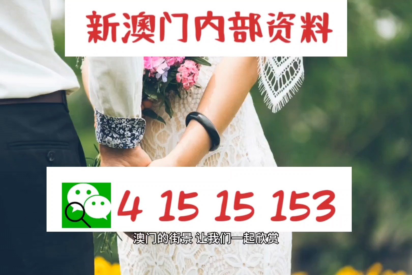 澳门三肖精准预测，揭秘期期的奥秘与牛的智慧澳门三肖三码期期准精选什么动物白手起家靠自己