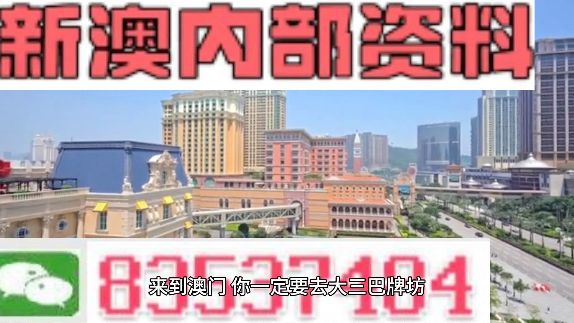 2046年新澳门王中王的传奇与展望2024年新澳门王中王资料,重点全面解