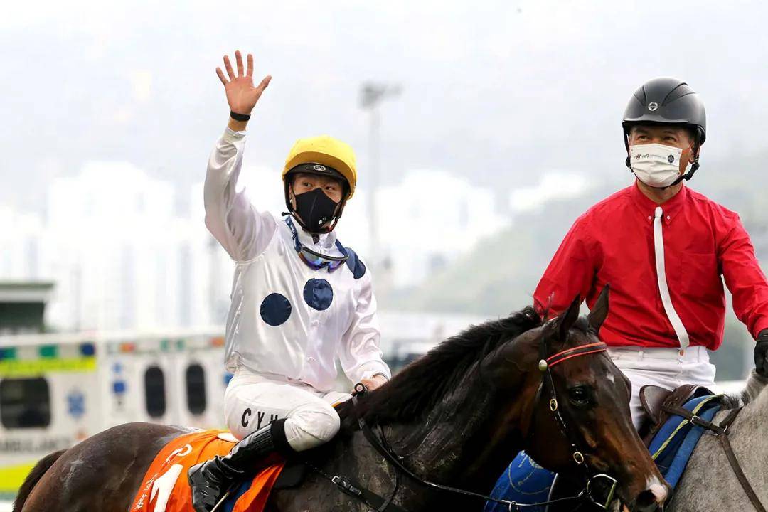 2021年香港马内部免费资料