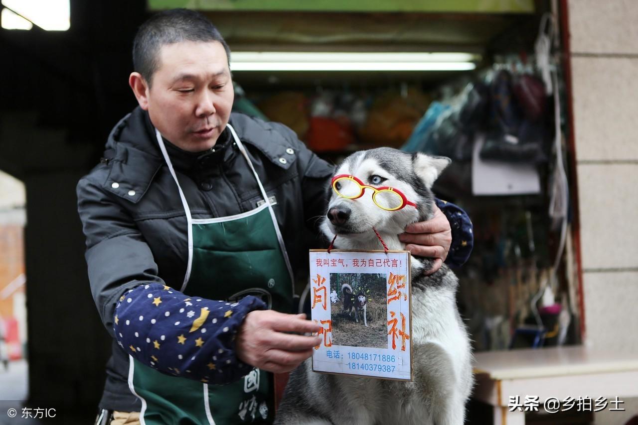 揭秘WW789，香港开奖结果的独家视角与真相探索之旅（含虚构元素）777766香港开奖结果 20