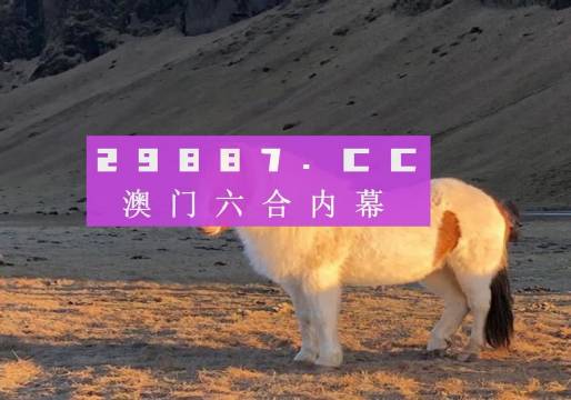 澳门彩，揭秘49选6的奇妙世界澳门49彩官方网站百度