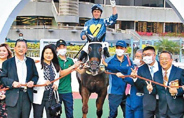 2019年香港马内部免费资料，揭秘赛马的背后与策略