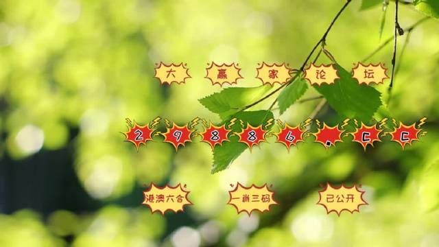 澳门49图库免费资料下载，谨慎与风险并存的灰色地带澳门49图库资料下载2022第187期