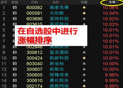 揭秘四肖选一，精准预测中特特的奥秘四肖选一肖一特