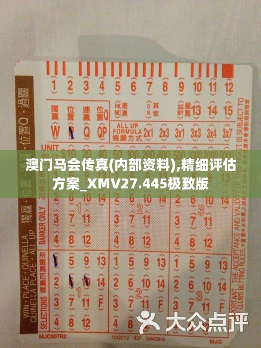 守护正版，拥抱诚信，解读正版马会传真资料的魅力与价值正版马会传真资料+内部