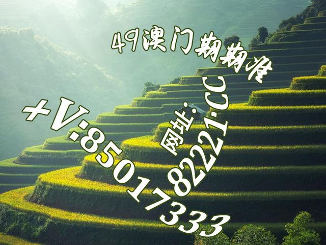 探索白姐图库，数字时代的视觉盛宴与创意源泉白姐统一彩色印刷图库