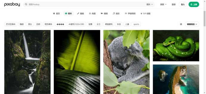 探索数字世界的视觉宝藏，白姐图库的魅力之旅白姐图库大全下载安装白姐图库使用方法