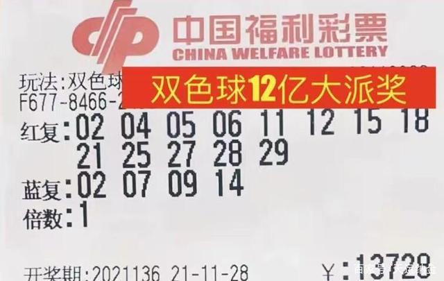 澳门彩，揭秘49选6的魅力与策略49澳门彩资料大全下
