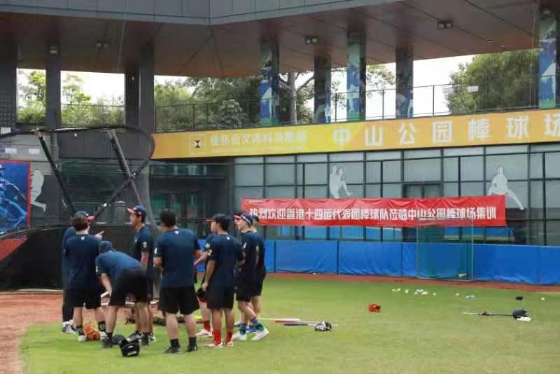 2019年香港马内部免费资料，揭秘赛前准备与投注策略香港马资料大全2019