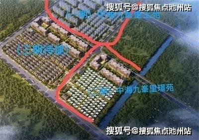 揭秘一肖三码背后的真相，理性看待彩票投注的智慧