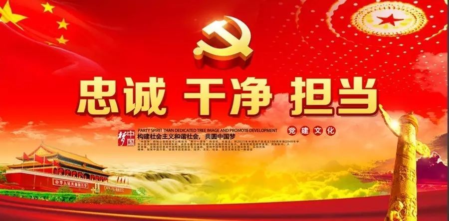 党的纪律，铸就铁的队伍，守护信仰之光党的纪律处分