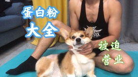 今晚的独胆—小和尚与3D世界的奇妙邃遇3d21期小和尚独胆双胆