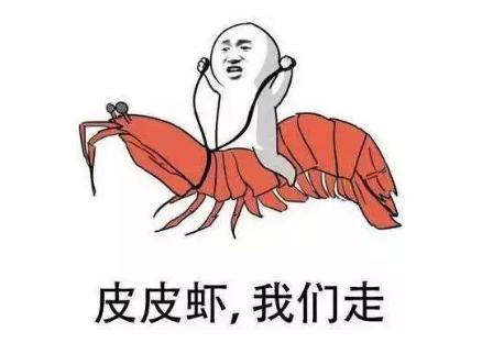 探索双色球下注的智慧，科学计算与策略分析双色球投注计算