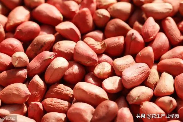 陕西12选5，揭秘开奖结果与走势图背后的奥秘陕西11选5开奖走势图 一定牛