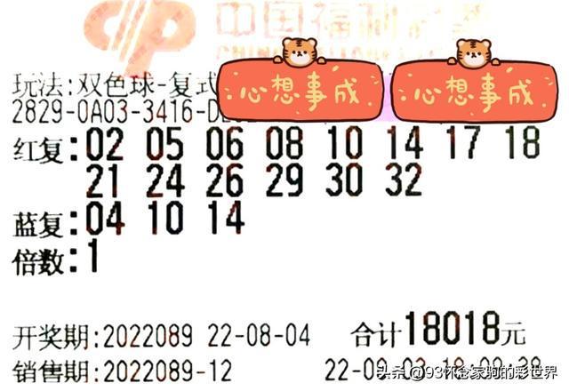2019年双色球第6期开奖结果揭晓，幸运数字照亮梦想之夜2021096期双色开奖结果