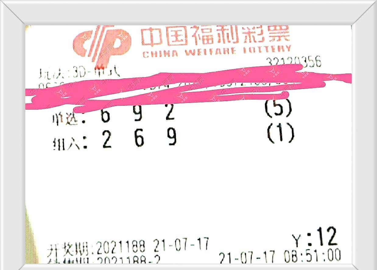 3D基本走势图（专业版）在新浪爱彩的深度解析与应用3d基本走势图表新浪爱彩