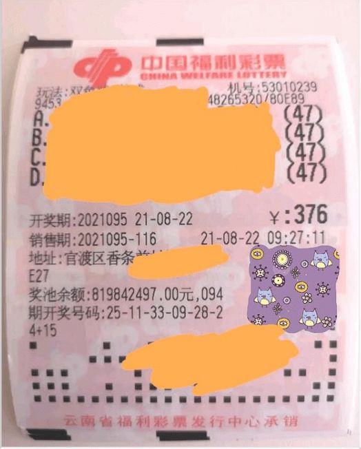 2031年，探索双色球开奖的奇妙之旅—以9日奇迹为例2023年1月9日双色球开奖结果查询表格